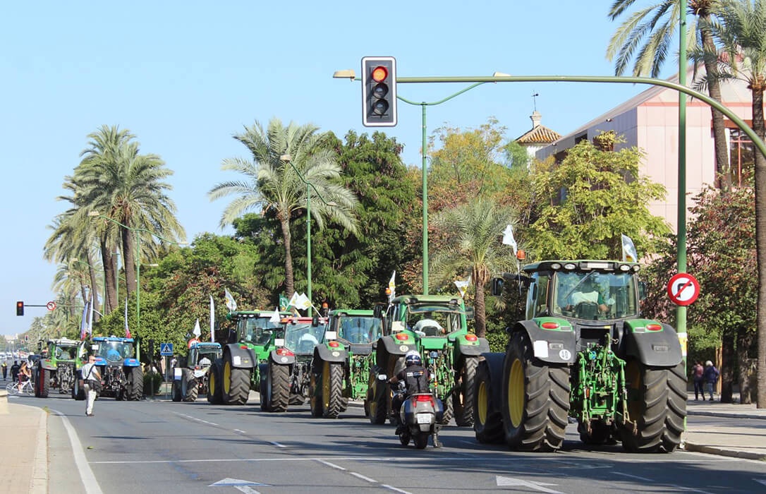 ANDALUCIA-PROTESTAS-25-DE-FEBRERO